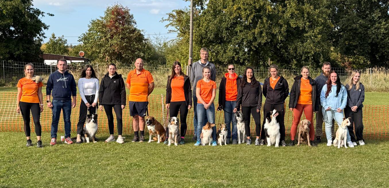 150b5de8-96b0-4679-8d24-d4856dc056c7